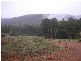 Lot 81 Southampton Road, Balingup WA 6253