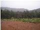Lot 81 Southampton Road, Balingup WA 6253