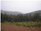 Lot 81 Southampton Road, Balingup WA 6253