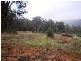 Lot 81 Southampton Road, Balingup WA 6253