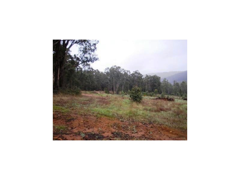 Lot 81 Southampton Road, Balingup WA 6253
