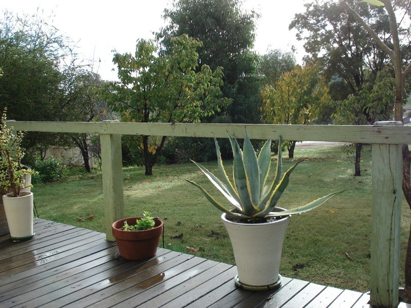 61 Telluride Street, Greenbushes WA 6254