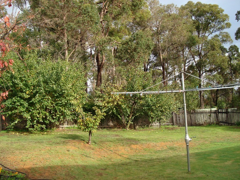 61 Telluride Street, Greenbushes WA 6254