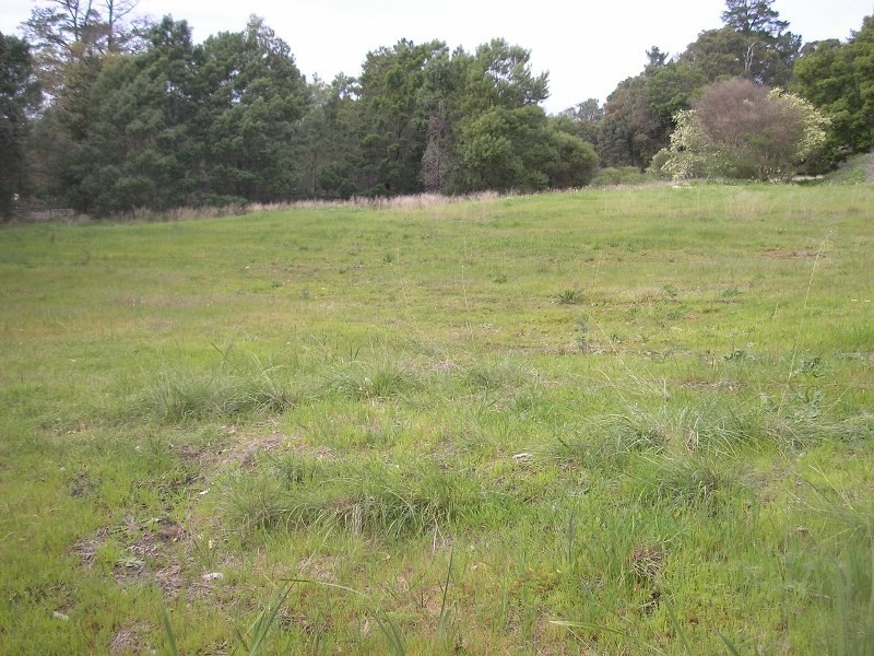 14 Moore Street, Balingup WA 6253