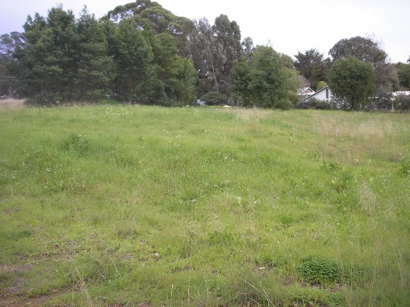 14 Moore Street, Balingup WA 6253