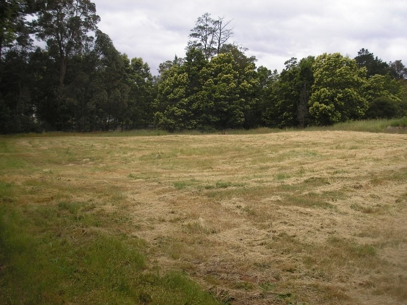 14 Moore Street, Balingup WA 6253