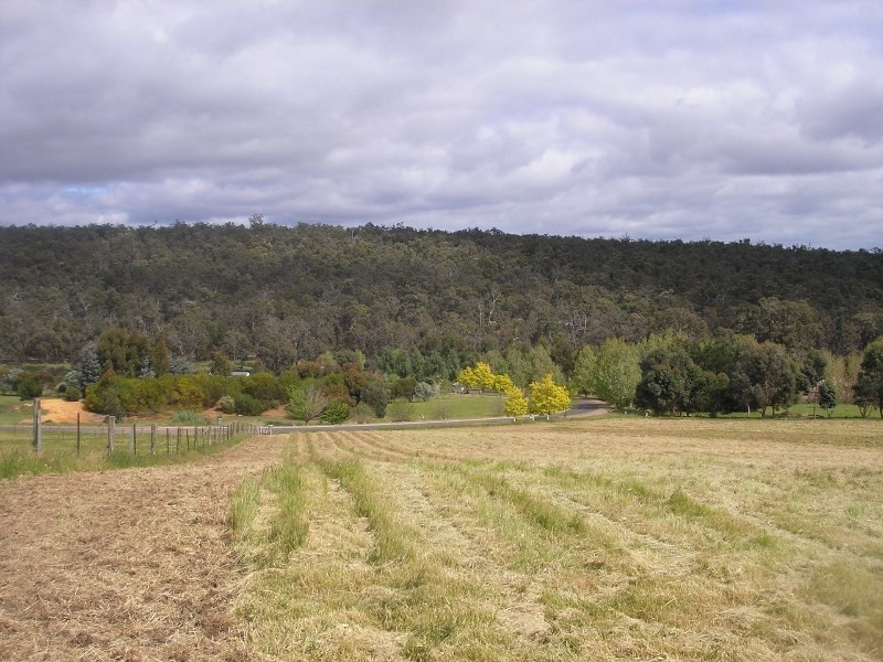 33 Forest View Court, North Greenbushes WA 6254