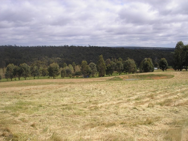 33 Forest View Court, North Greenbushes WA 6254