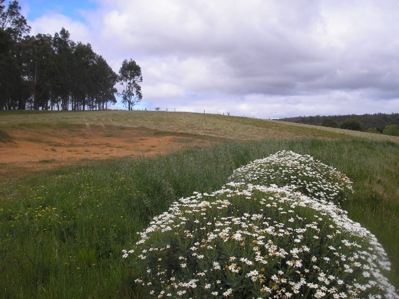 33 Forest View Court, North Greenbushes WA 6254