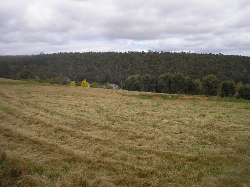 33 Forest View Court, North Greenbushes WA 6254