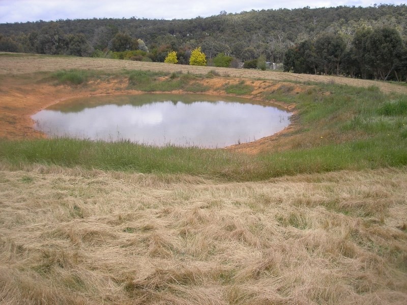 33 Forest View Court, North Greenbushes WA 6254