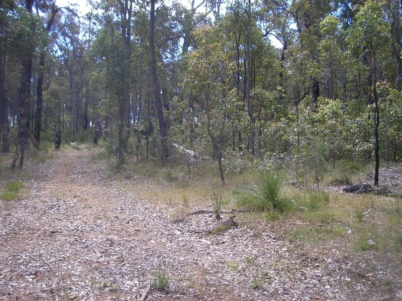 11 Russell Road, Balingup WA 6253