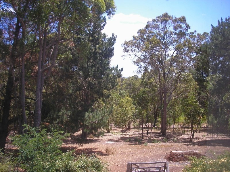 43 Diorite Street, Greenbushes WA 6254