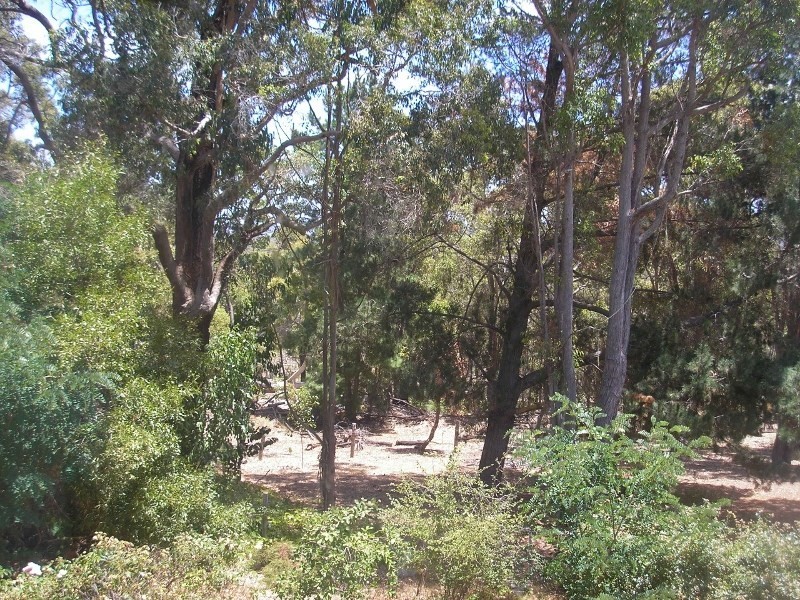 43 Diorite Street, Greenbushes WA 6254