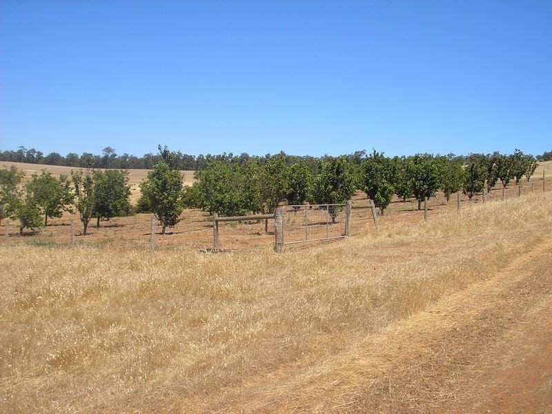 55 Martin Place, Mullalyup WA 6252