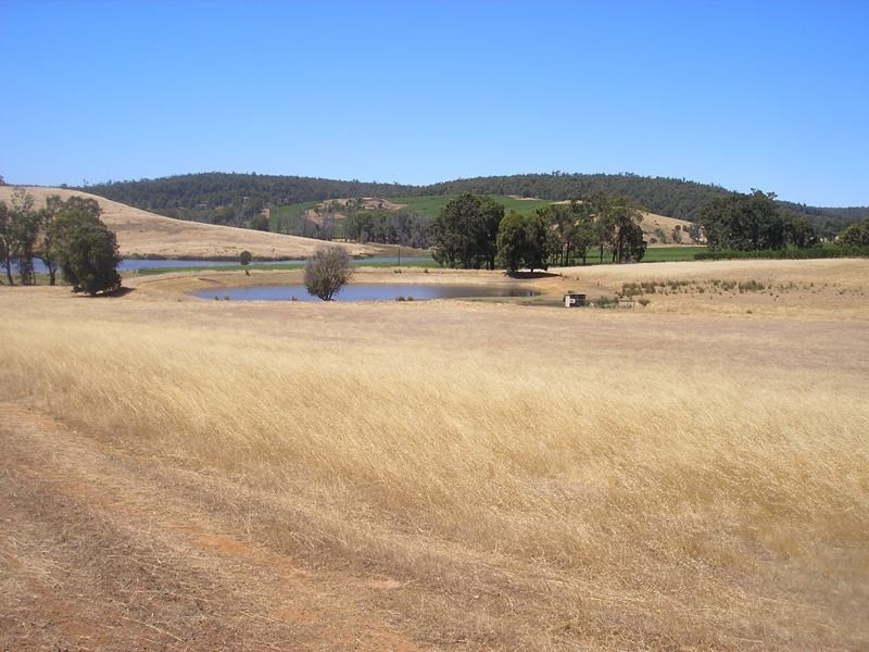 55 Martin Place, Mullalyup WA 6252