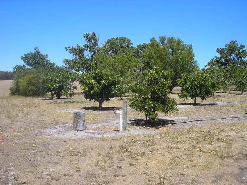 55 Martin Place, Mullalyup WA 6252