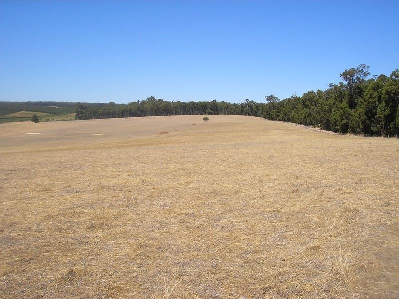 11894 Martin Place, Mullalyup WA 6252