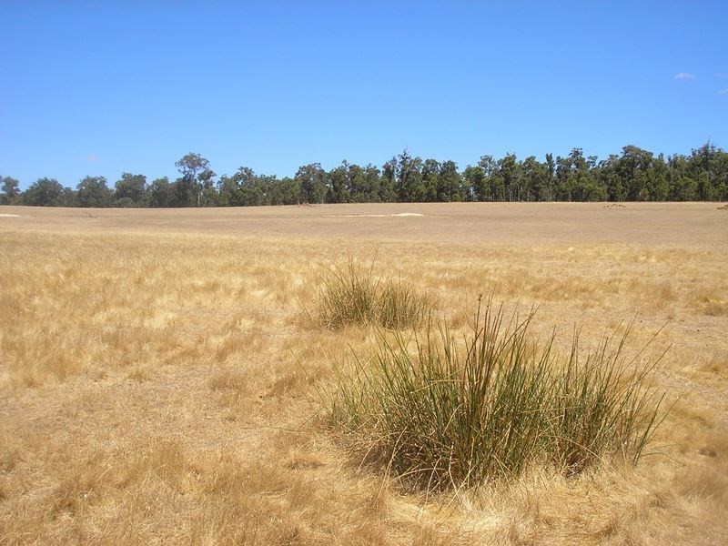 11894 Martin Place, Mullalyup WA 6252