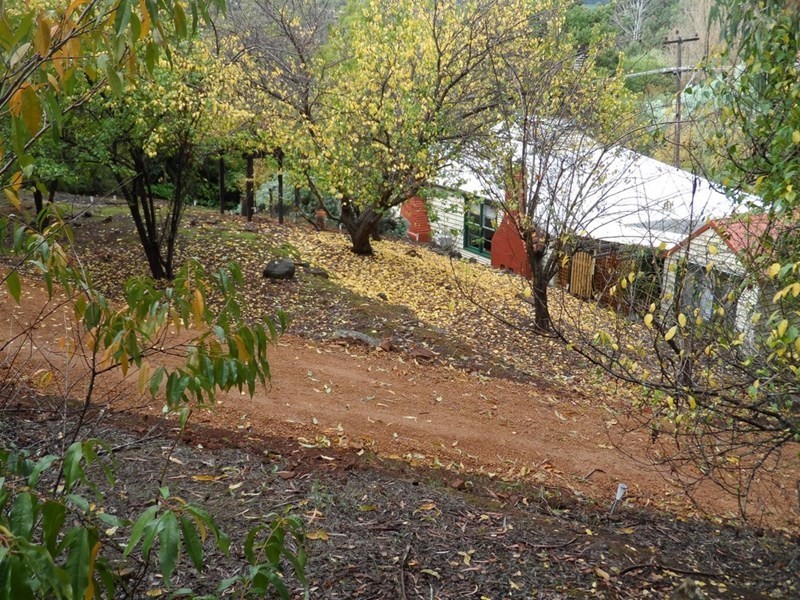 12 Loftie Street, Bridgetown WA 6255