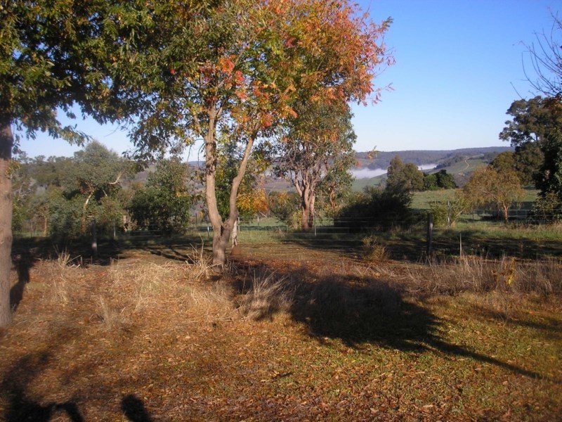 187 Lukis Street, Balingup WA 6253