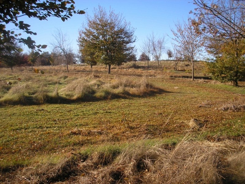 187 Lukis Street, Balingup WA 6253