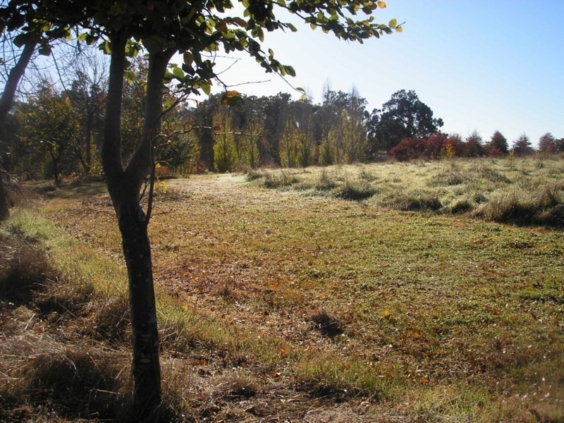 187 Lukis Street, Balingup WA 6253