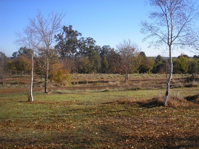 187 Lukis Street, Balingup WA 6253