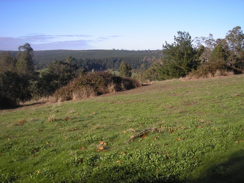 180 Lukis Street, Balingup WA 6253