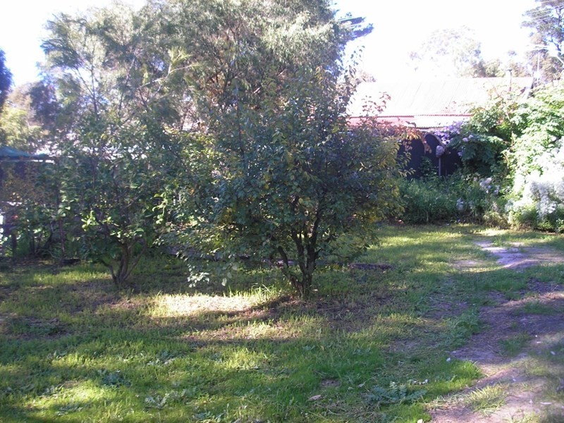 24 Stanifer Street, Greenbushes WA 6254