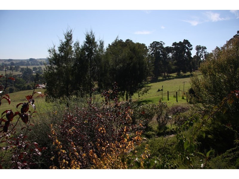 36 Campbell Street, Balingup WA 6253