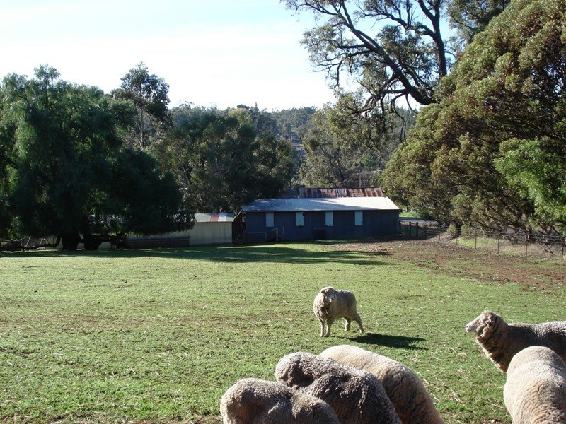 713 Hackett Street, Bridgetown WA 6255