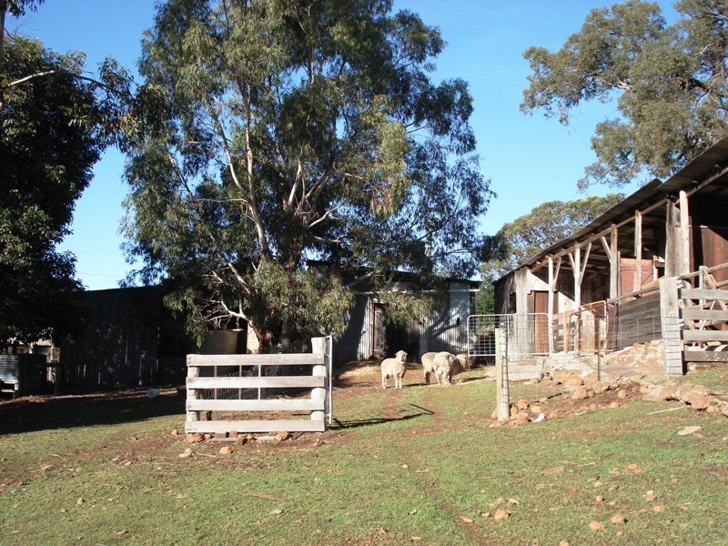 713 Hackett Street, Bridgetown WA 6255