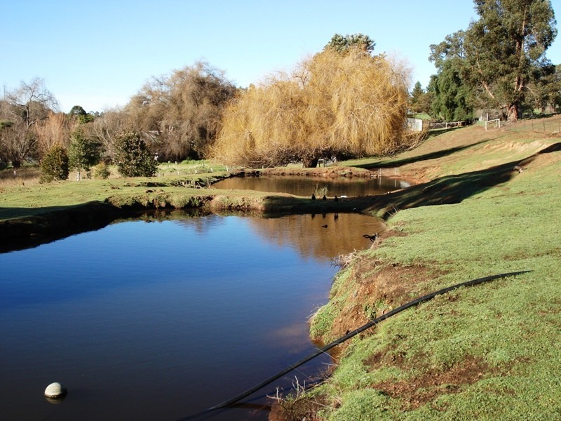 713 Hackett Street, Bridgetown WA 6255