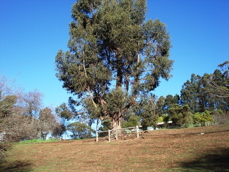 713 Hackett Street, Bridgetown WA 6255