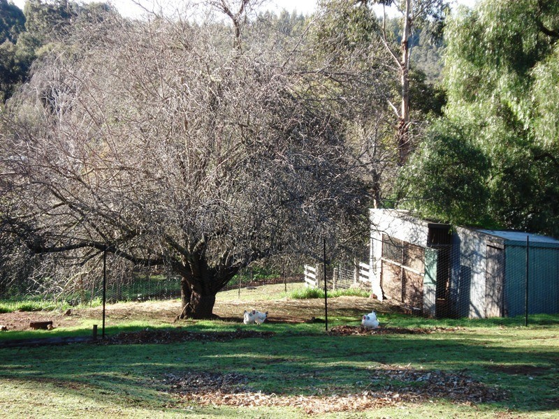 713 Hackett Street, Bridgetown WA 6255