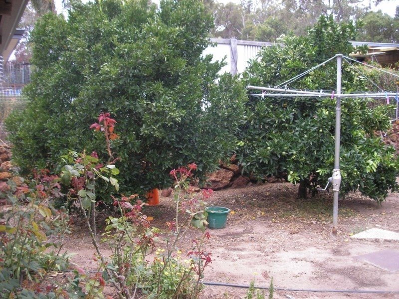 71 Telluride Street, Greenbushes WA 6254