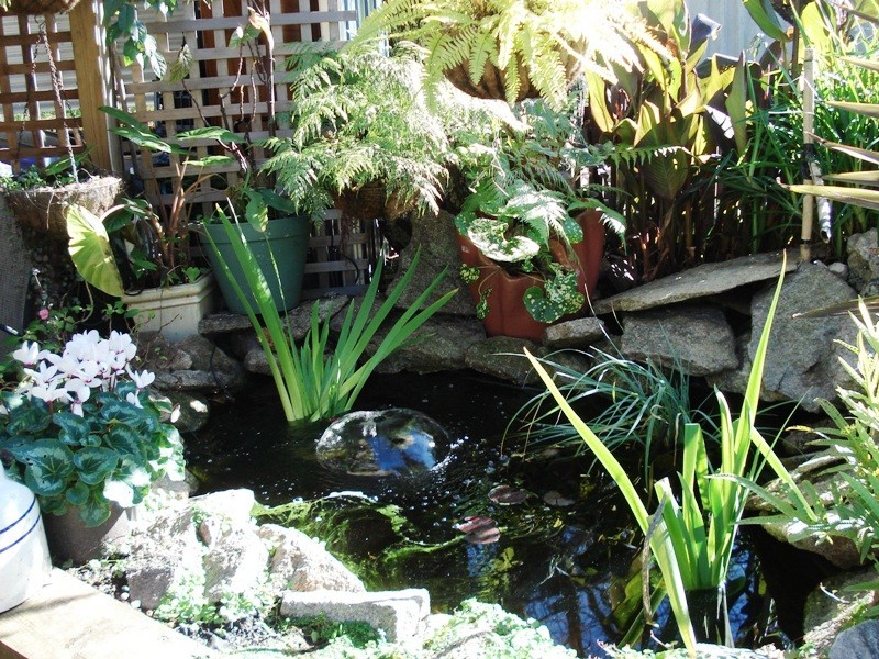 26 Jephson Street, Greenbushes WA 6254