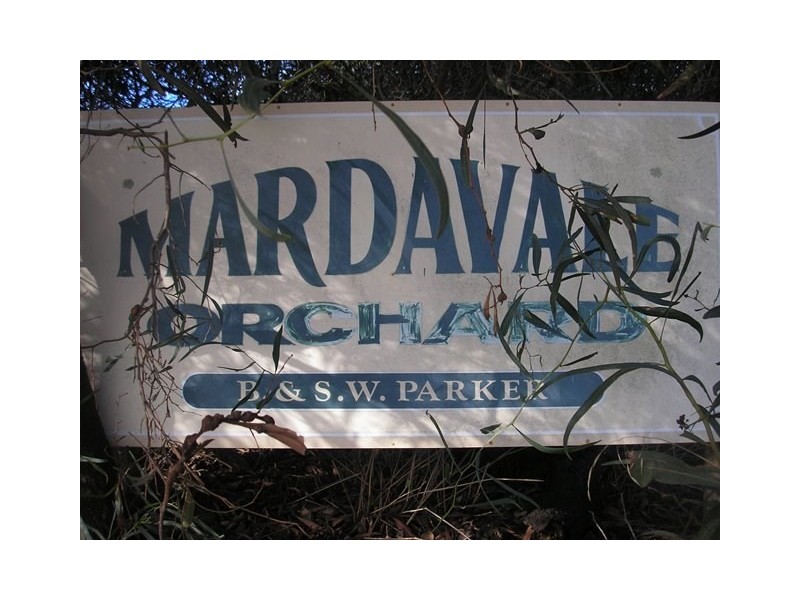 313 Mardawarra Road, Balingup WA 6253