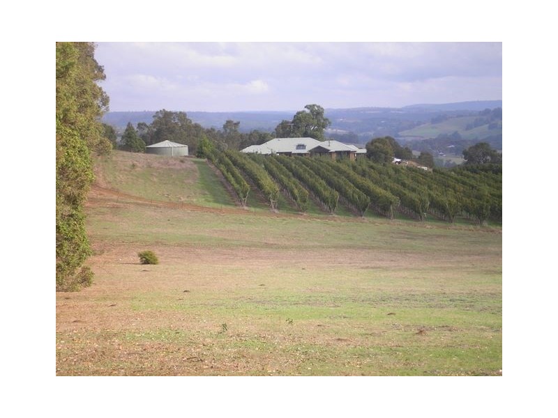 313 Mardawarra Road, Balingup WA 6253