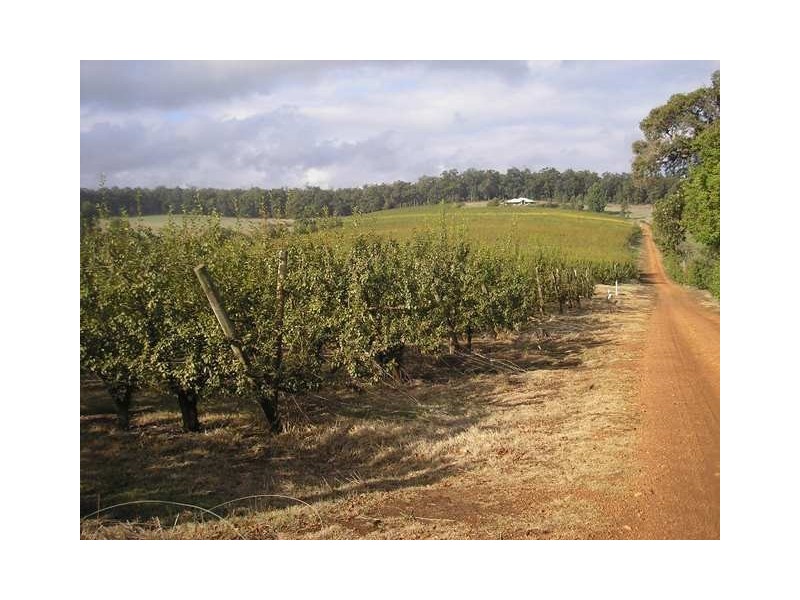 313 Mardawarra Road, Balingup WA 6253