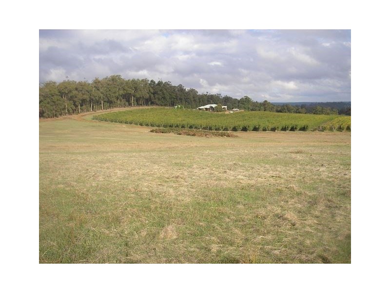 313 Mardawarra Road, Balingup WA 6253