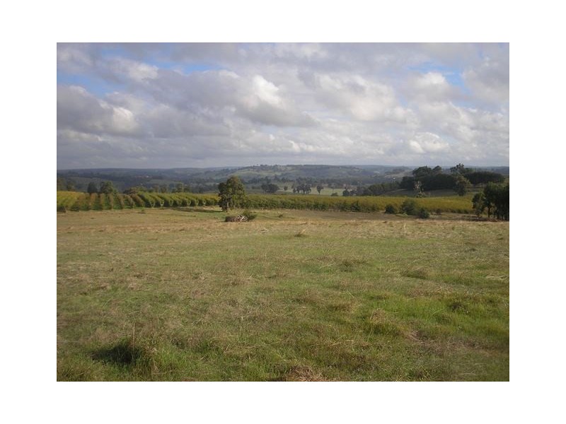 313 Mardawarra Road, Balingup WA 6253