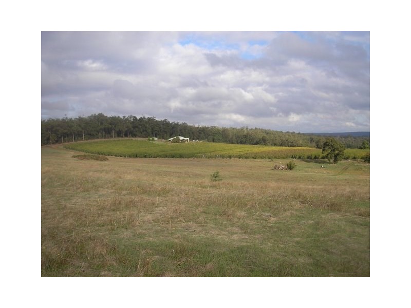 313 Mardawarra Road, Balingup WA 6253