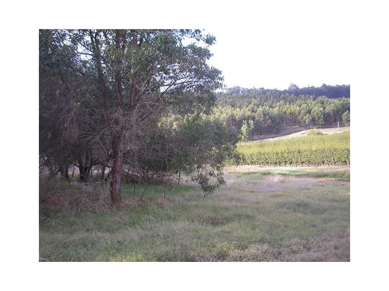 313 Mardawarra Road, Balingup WA 6253