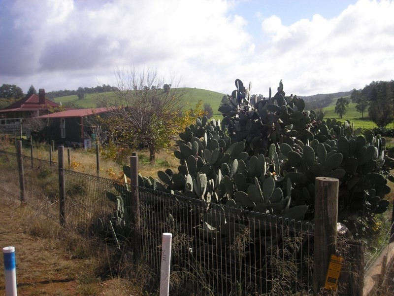 20967 South Western Highway, Mullalyup WA 6252