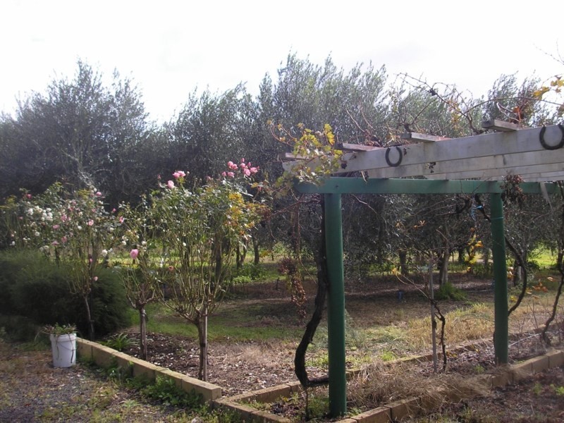 20967 South Western Highway, Mullalyup WA 6252