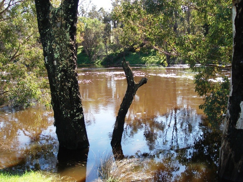 26 Tweed Road, Bridgetown WA 6255