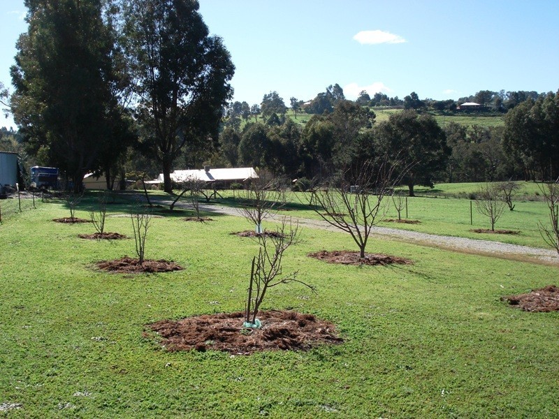 26 Tweed Road, Bridgetown WA 6255