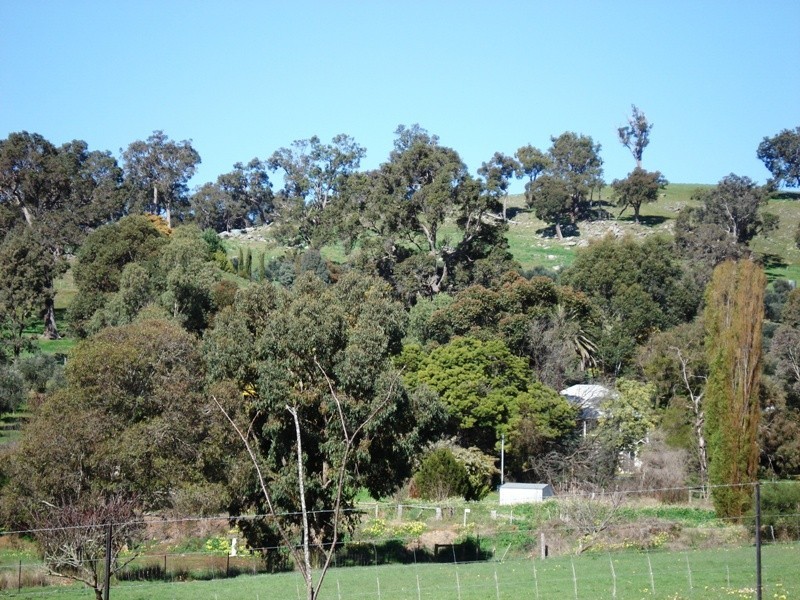 26 Tweed Road, Bridgetown WA 6255